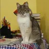 Отзыв от Нелли Алешина